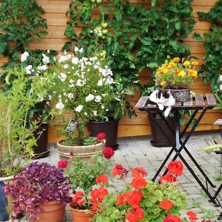 Apartment Pleasant With Balcony Sankt Peter