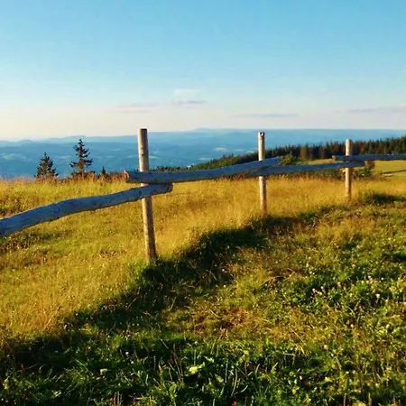 Pleasant With Balcony 아파트