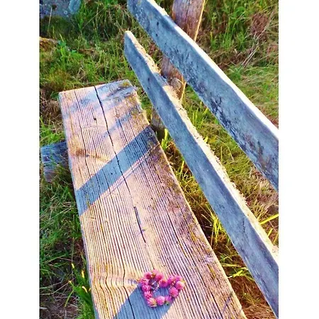 Pleasant With Balcony 아파트 상트피터