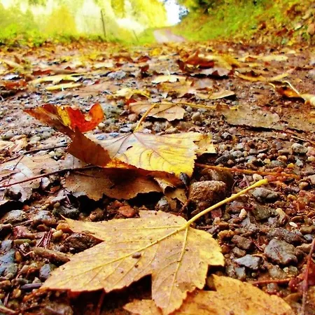 Pleasant With Balcony *